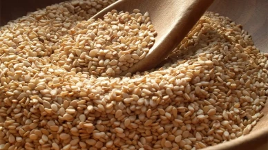 Her Sabah Bir Kaşık Susam Mucizesi! Enerji, Sağlık ve Gençlik Tek Noktada