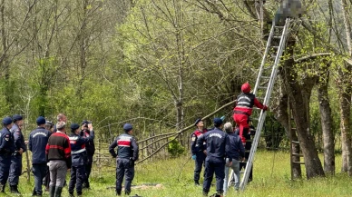Oğlu yardıma koştu ama geç kaldı: Ağaçta hayatını kaybetti!