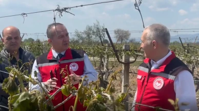 Manisa'da Düşen Hava Sıcaklıkları Zirai Dona Sebep Oldu