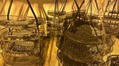 Küresel Uyuşturucuya Büyük Darbe: "Orkinos-Bulut" Operasyonu ile Dört Örgüt Çökertildi