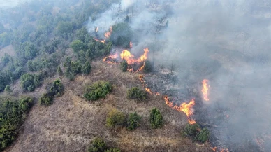 Osmaneli'de Orman Yangını: Havadan ve Karadan Yoğun Müdahale Sürüyor