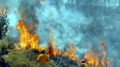 Sakarya'da yangın paniği: Müdahale çevre illere kadar genişletildi
