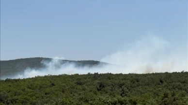 Nilüfer’de Alevler Yükseldi: Ormanlık Alandaki Yangın Kontrol Altına Alınmaya Çalışılıyor