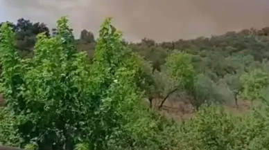 Balıkesir Havran’da Orman Yangını: Halılar Mahallesi Alevlere Teslim, Sarnıç Boşaltıldı