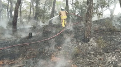 Çanakkale’de yangın alarmı: Havadan ve karadan müdahale!