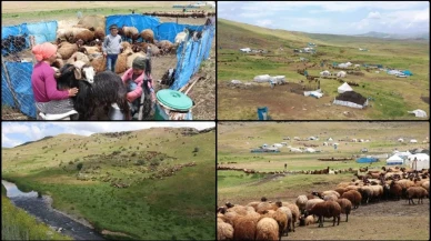 Ağrı'nın Yüksek Yaylalarında Göçer Hayatının Zorlukları