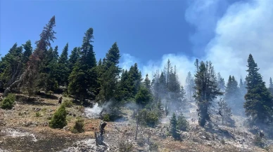 Alevler Elbeyli’yi Sardı: Yangına Müdahale Havadan Destekle Sürüyor