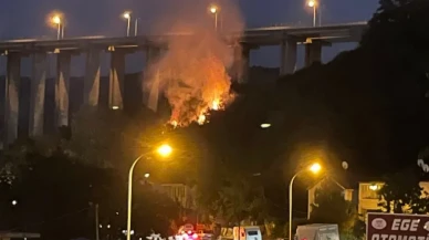 Beykoz’da yangın nerede ve neden çıktı?