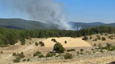 Eskişehir’de orman yangını alarmı!