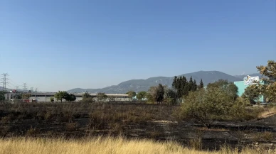 Midyat'ta orman alarmı! Söğütlü'de alevlerle zorlu mücadele