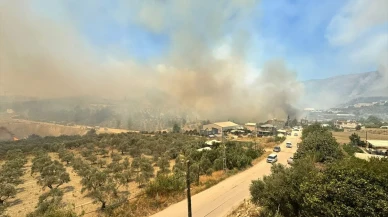 Hatay Dörtyol’da orman yangınında: 1870 kişi KYK yurduna yerleştirildi
