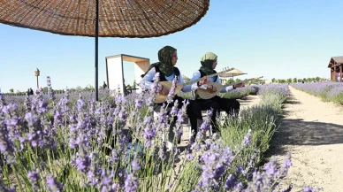 Konya’da Lavanta Coşkusu: Karatay Renk ve Kokuya Büründü