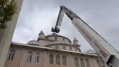 İznik’te Cami Kubbesinde Mahsur Kalan Leylek Üçüncü Denemede Kurtarıldı