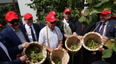 Trabzon’da Çocuklara Fındığın Hikayesi Anlatıldı: Dünya Fındık Haftası Renkli Etkinliklere Sahne Oluyor