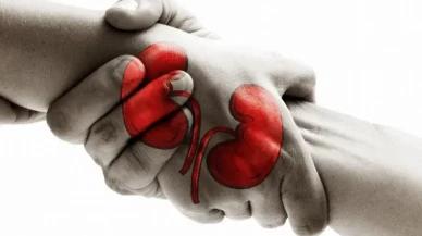 Samsun’da organ bağışı 3 hastaya umut oldu