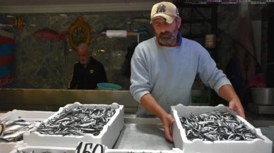 Yağmur sonrası balıkçılar rahatladı: Tezgahta bolluk, fiyatlar uygun