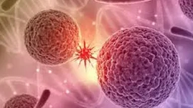 Van’da bir ilk: Kanser ameliyatına yapay zeka desteği