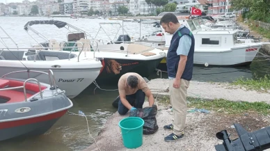 Yalova’da denizi kirleten 2 belediyeye 4 milyon TL ceza