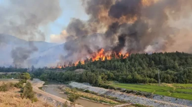 Yemek molası faciaya mı dönüştü? Eflani'de 5 kişi orman yangınıyla suçlandı