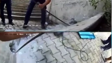 Beton blokta mahsur kalan kedi yavrusunun kurtarılma anı kamerada