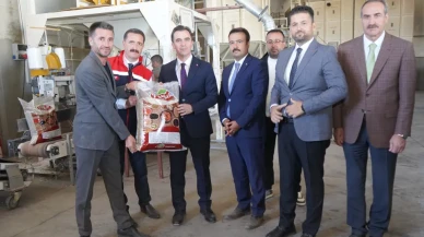 Fasulyede rekolte rekoru: Bitlis hasada koştu