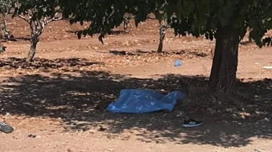 Şanlıurfa’da fıstık bahçesinde 71 yaşındaki kadın ölü bulundu