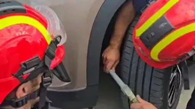 Silivri’de cipin motorunda doğan 6 kedi kurtarıldı