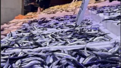 Trabzon’da hamsi bolluğu: Tezgahlar doldu taştı