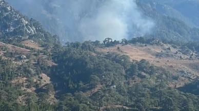 Köyceğiz ormanlarında yangın alarmı: Havadan ve karadan müdahale yapılıyor
