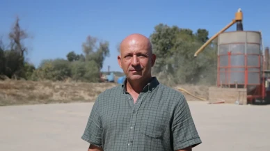 Edirne Ziraat Odası: 'Ayçiçeği üretimi üst üste ikinci yıl felaket'