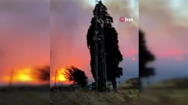 Bursa’da orman yangını...Rüzgarın etkisiyle büyüdü