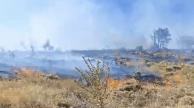 Alevler yaylaya kadar ulaştı: Sincik’te orman yangını endişe yarattı!