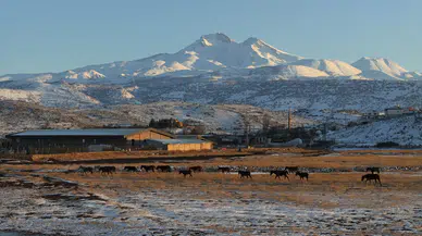 Hürmetçi Sazlığı’nda doğanın sessiz kahramanları: Yılkı atları havadan görüntülendi