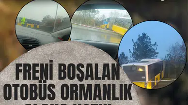 Arnavutköy’de İETT dehşeti... Freni boşalan otobüs ormanlık alana uçtu!