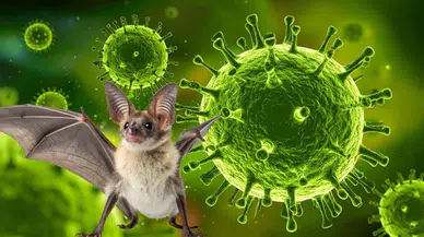 Nipah virüsü nedir, nasıl bulaşır, belirtileri nelerdir, tedavisi var mı? Nipah virüsü yeniden gündemde!