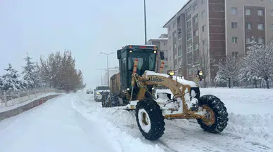 Van’da yoğun kar ve sis hayatı olumsuz etkiledi... 287 yerleşim yeri ulaşıma kapandı!