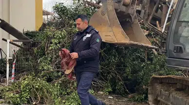 Enkazın altında kalmasın diye yıkımı durdurdu: Bolu'da Türk bayrağına saygı!