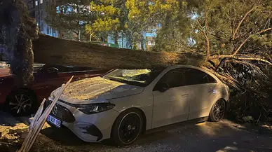 Devrilen ağaç lüks aracı ezdi, çatı komşu bahçeye uçtu! Kuvvetli rüzgar Denizli’yi vurdu