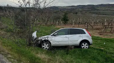 Direksiyon hakimiyetini kaybetti, üzüm bağına girdi! Denizli’de aynı noktada 2 kaza