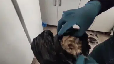 Evinden uyuşturucu fışkırdı! 'Uygun bulunca toplu alıyorum' diyerek kendini savundu