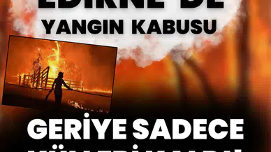 Naipyusuf Köyü’nde ev alevlere teslim oldu: Geriye sadece külleri kaldı
