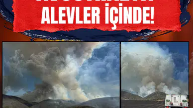 Avustralya alevler içinde: Yangınlar kontrol altına alınamıyor!