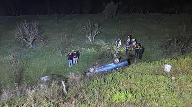 Aydın'da feci kaza! Domuz yola fırladı, otomobil uçuruma düştü