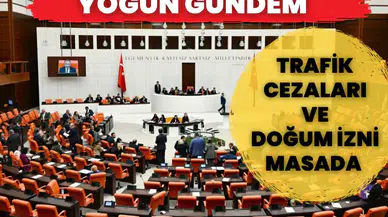 TBMM’de bu hafta yoğun gündem: Trafik cezaları ve doğum izni masada