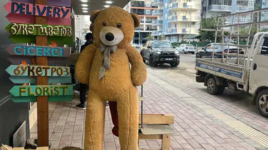 Alanya'da şok olay! 100 TL’ye 5 bin TL’lik ayıyı çaldılar