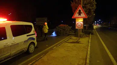 Çatılar uçtu, tabelalar devrildi! Malatya’da fırtına dehşeti