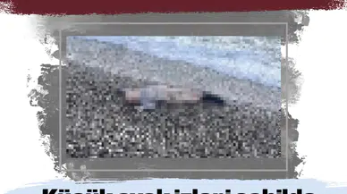 İzmir’de yürek burkan manzara: Küçük ayak izleri sahilde, hayatı yarım kaldı!