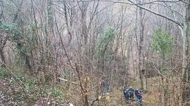 Ordu’da şok eden görüntü! Ağaçta asılı halde bulundu