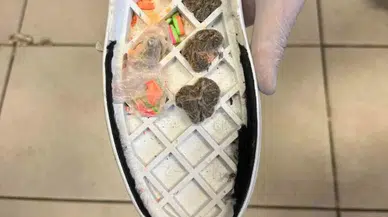 Şanlıurfa'da ayakkabı tabanına zulalanmış uyuşturucu ele geçirildi!