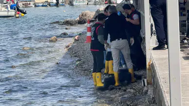 Fethiye sahilinde şok görüntü! Kıyıya vurmuş halde bulundu